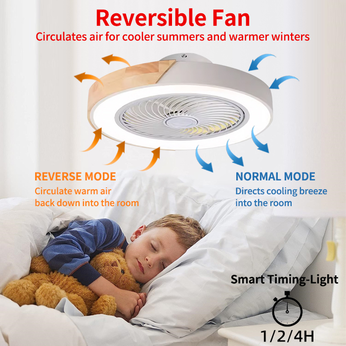 Bedroom Ceiling Fan Light, Int - Smart Ceiling Fan recension och pris