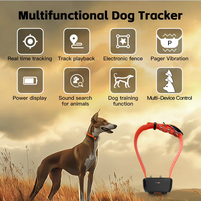 Special WiFi Waterproof GPS Do - Smart Home For Pc recension och pris